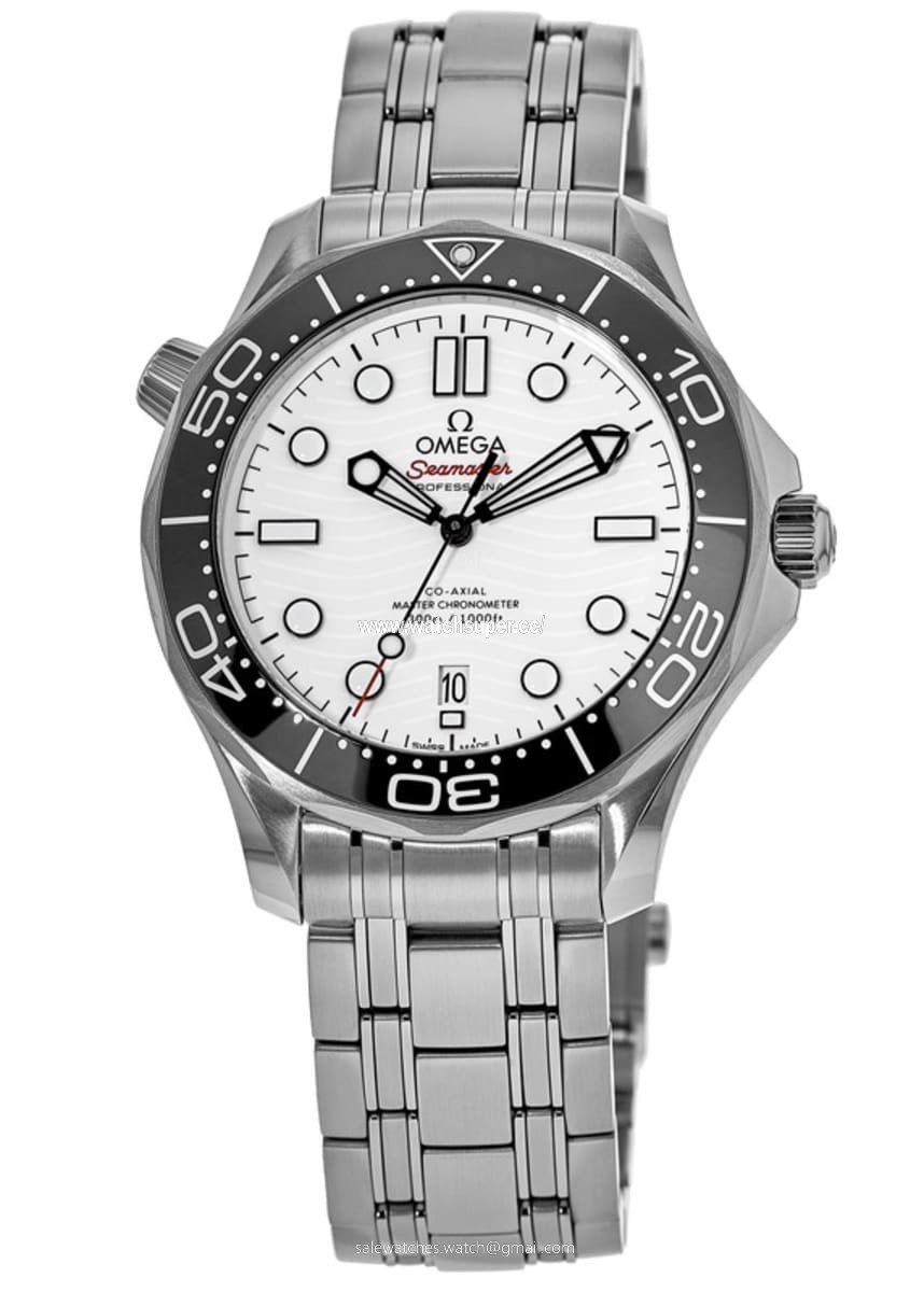 Omega Seamaster Diver 300M 210.30.42.20.04.001 Stainless Steel 1