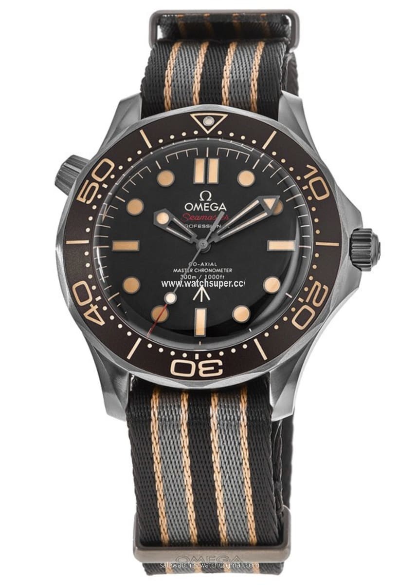 Omega Seamaster  210.92.42.20.01.001 Titanium 1