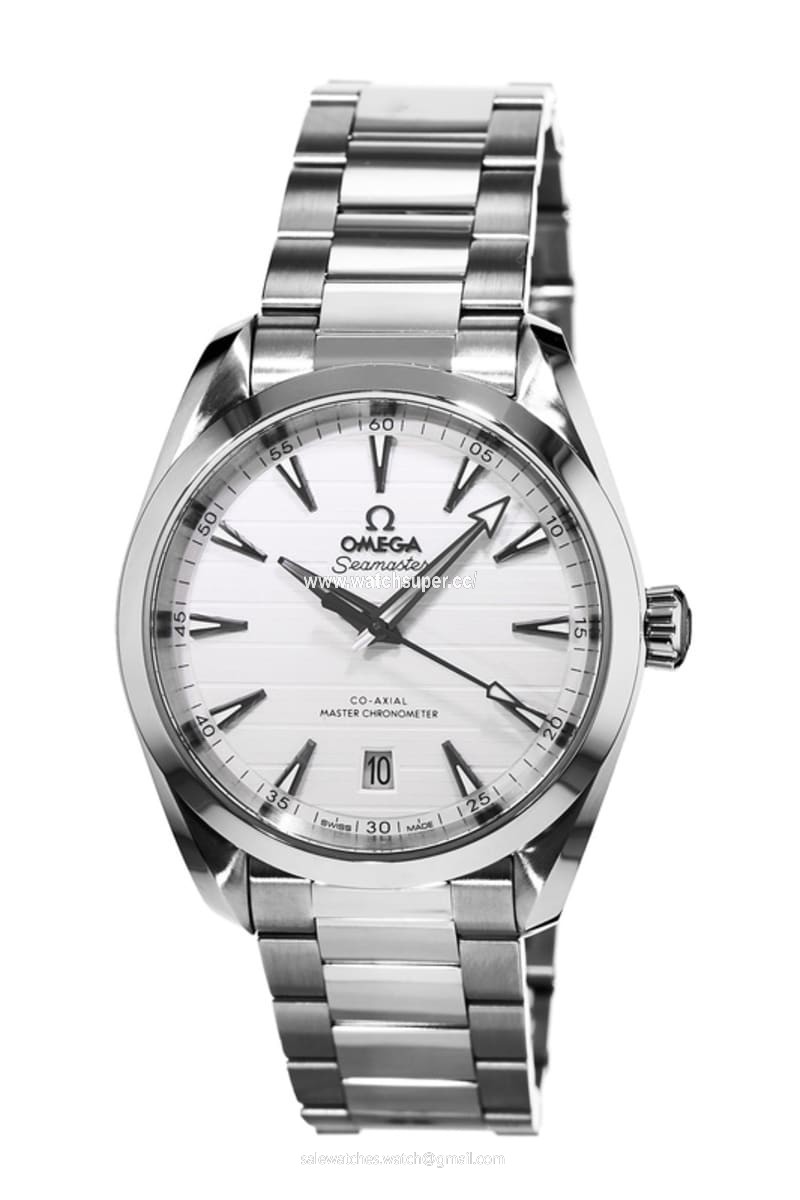 Omega Seamaster Aqua Terra 220.10.38.20.02.001 Stainless Steel 1
