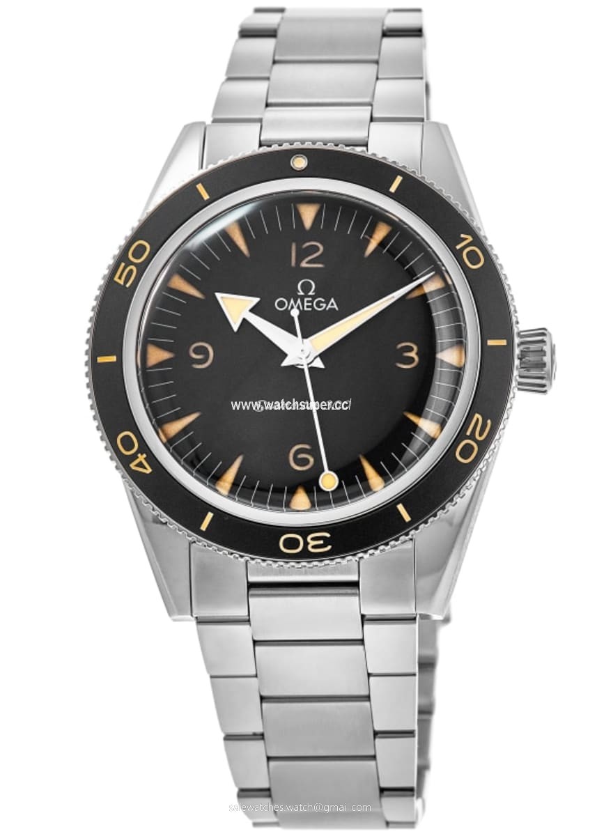 Omega Seamaster 300 234.30.41.21.01.001 Stainless Steel 1