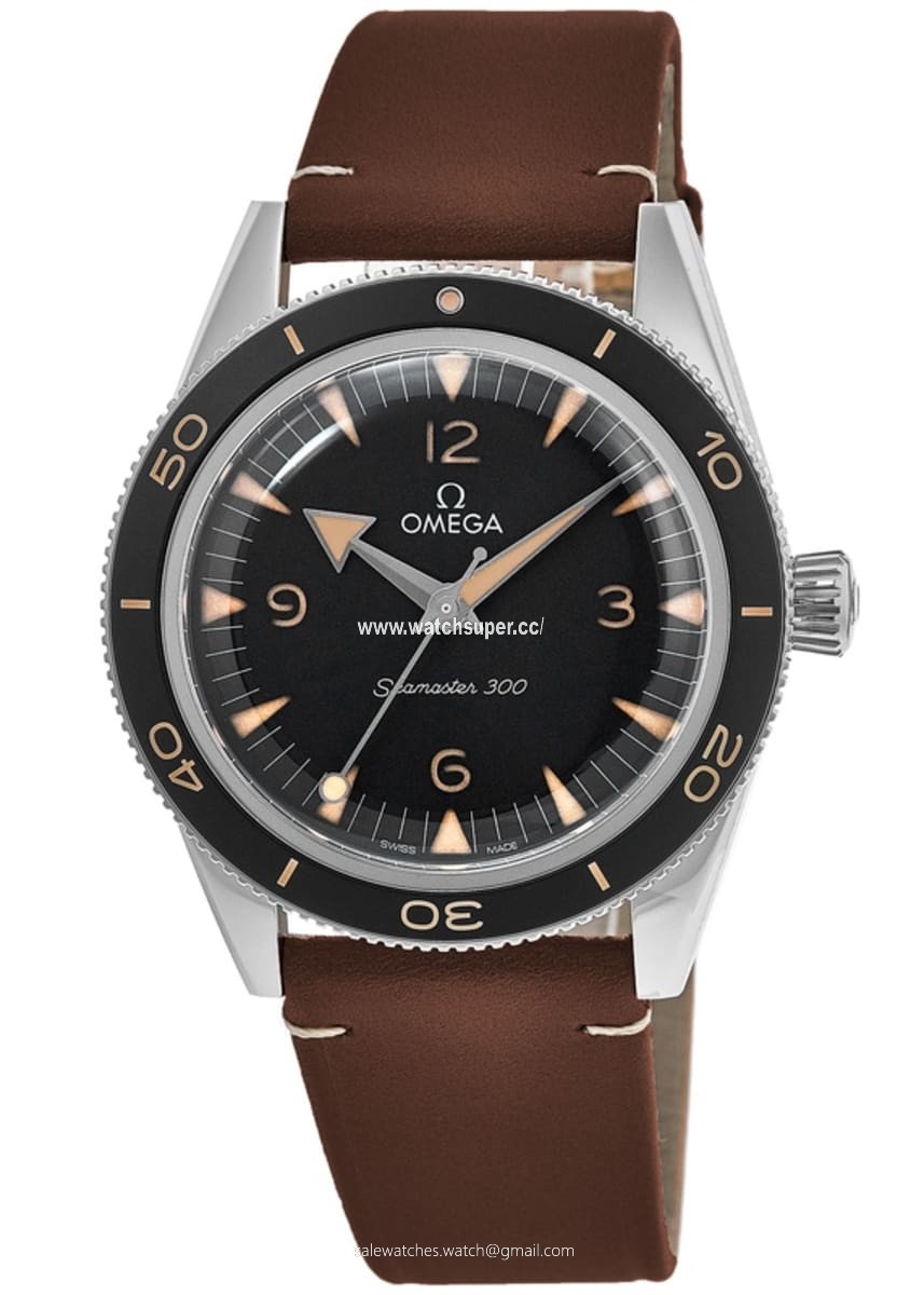 Omega Seamaster 300 234.32.41.21.01.001 Stainless Steel 1