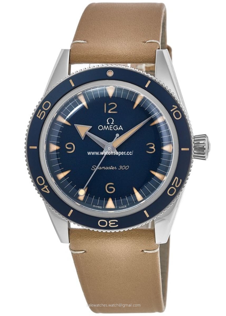 Omega Seamaster 300 234.32.41.21.03.001 Stainless Steel 1