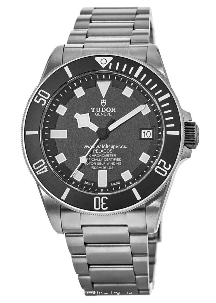 Tudor Pelagos 25600TN Titanium 1