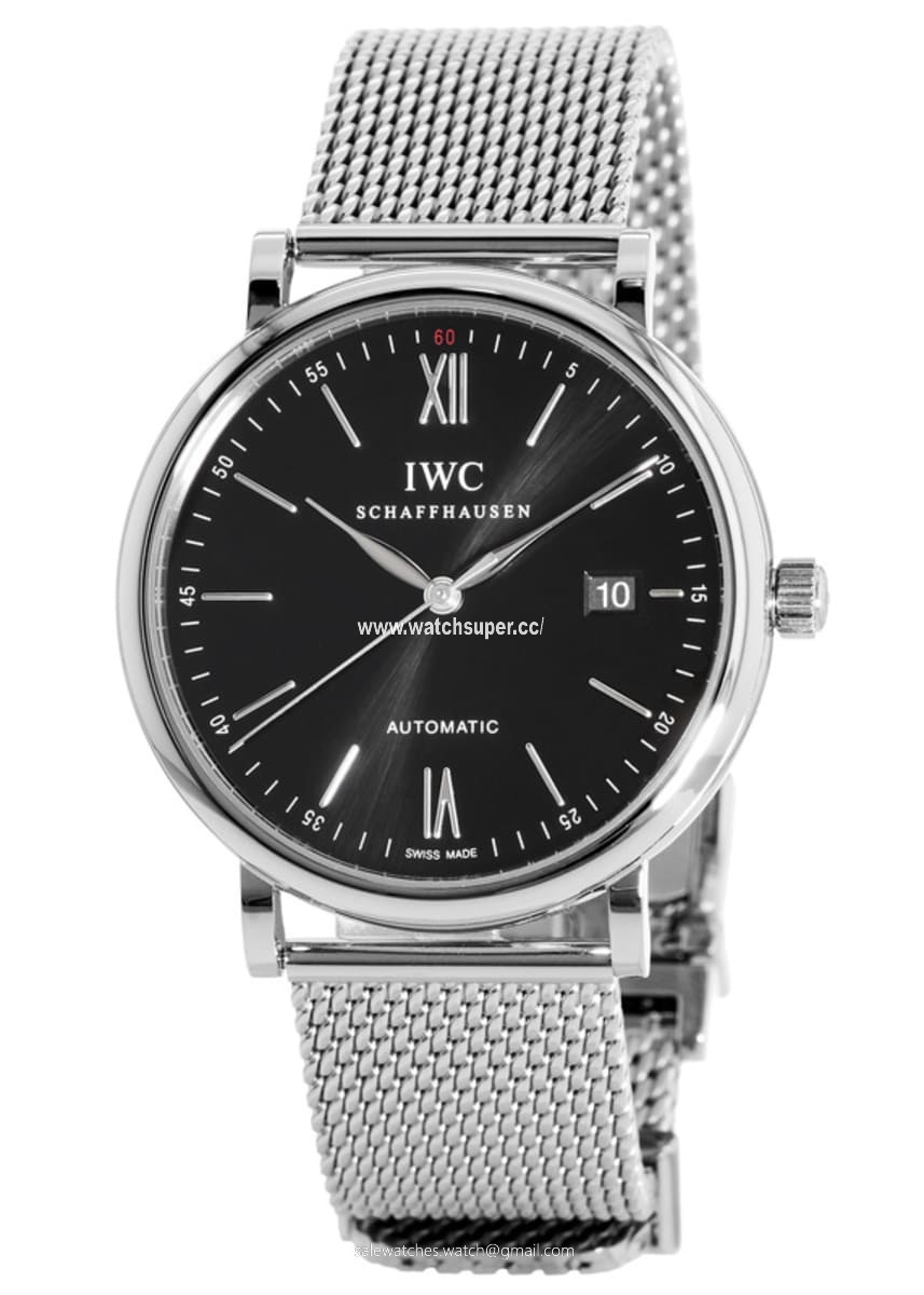 IWC Portofino Automatic IW356506 Stainless Steel 1