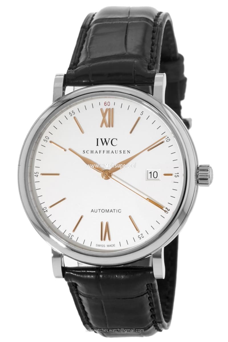 IWC Portofino Automatic IW356517 Stainless Steel 1