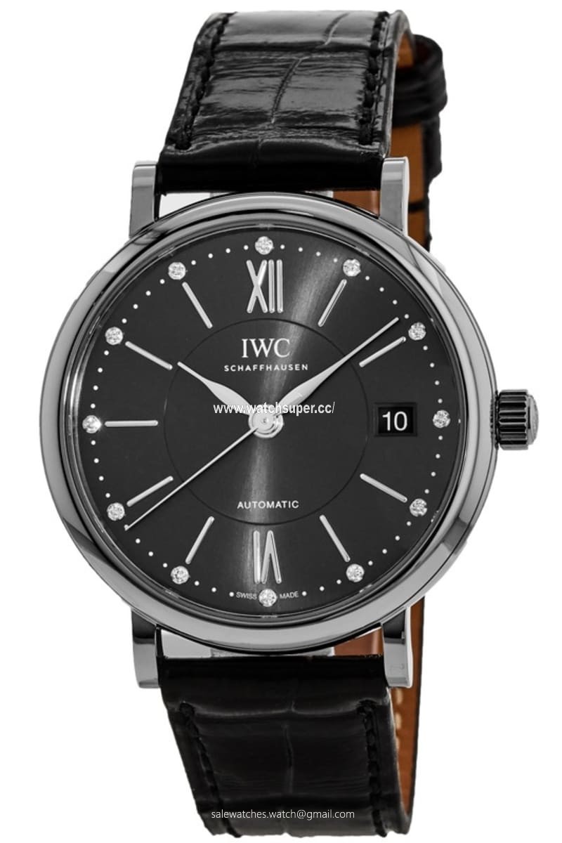 IWC Portofino Automatic IW458102 Stainless Steel 1