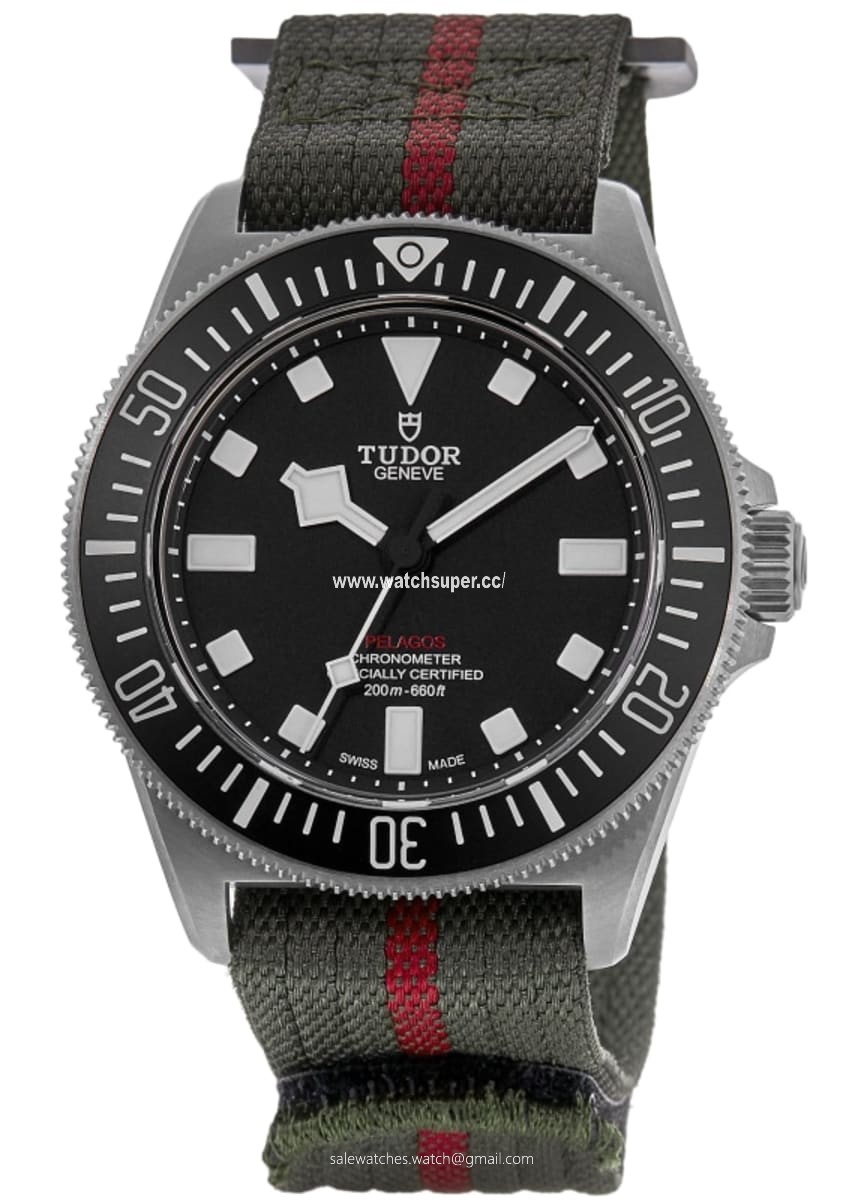Tudor Pelagos FXD M25717N-0001 Titanium 1