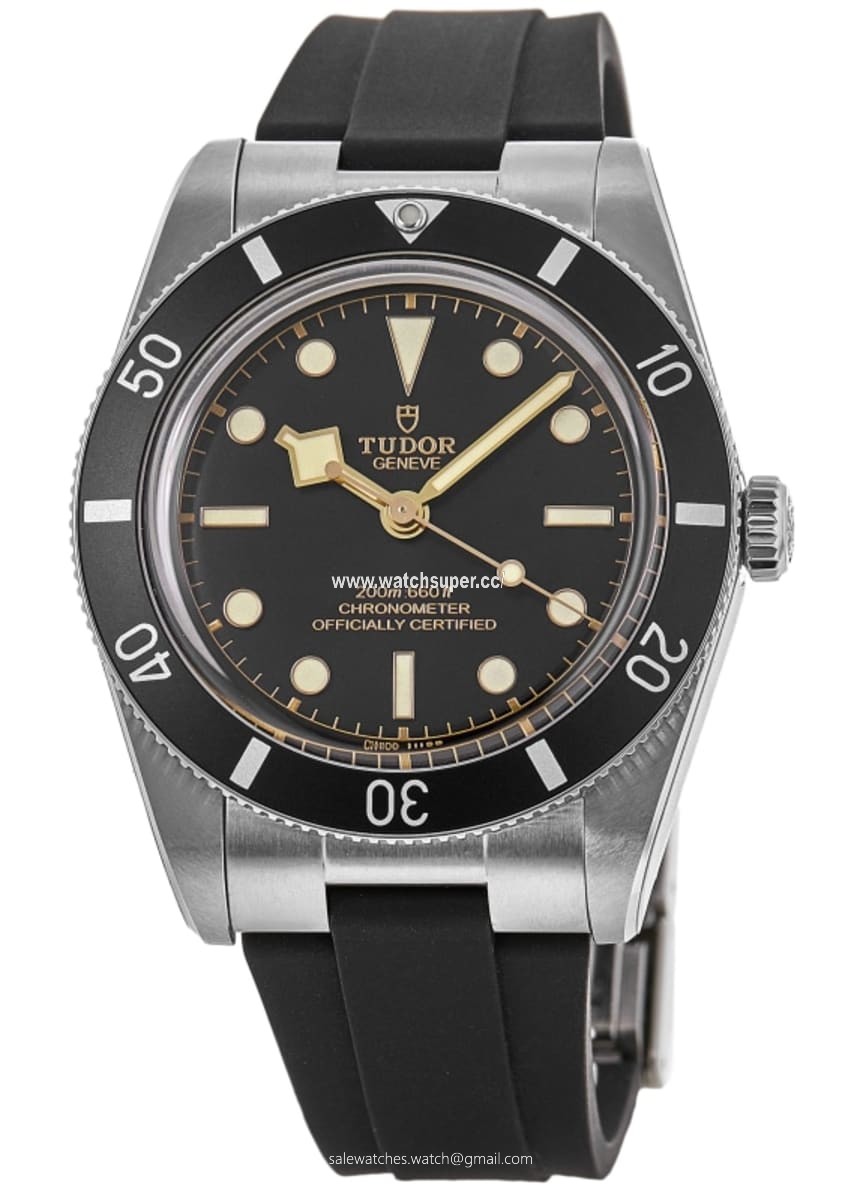 Tudor Black Bay 54 M79000N-0002 Stainless Steel 1