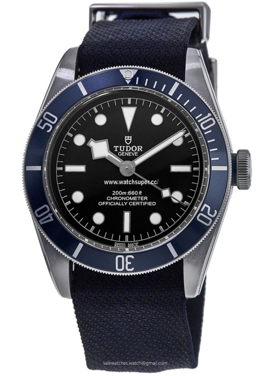 Tudor Black Bay 41 M79230B-0006 Stainless Steel 1
