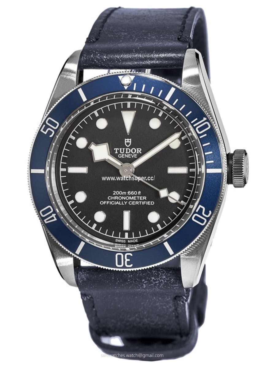 Tudor Black Bay 41 M79230B-0007 Stainless Steel 1
