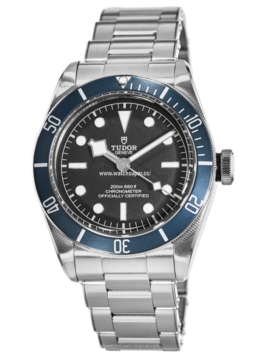 Tudor Black Bay 41 M79230B-0008 Stainless Steel 1