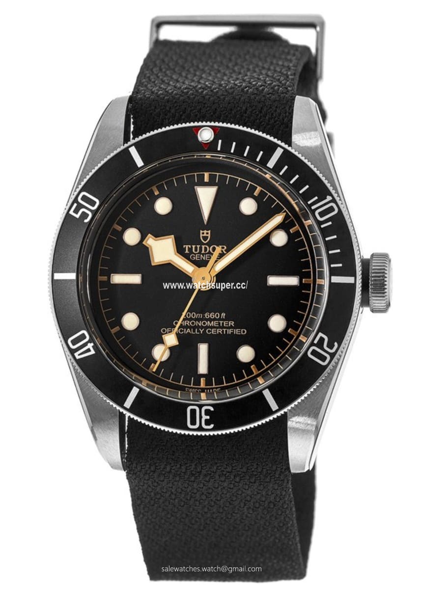 Tudor Black Bay 41 M79230N-0005 Stainless Steel 1