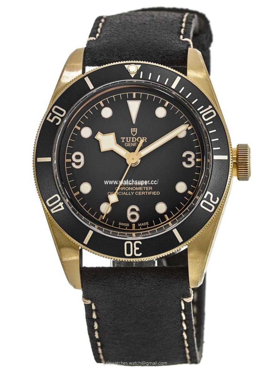 Tudor Black Bay Bronze M79250BA-0001 Stainless Steel 1