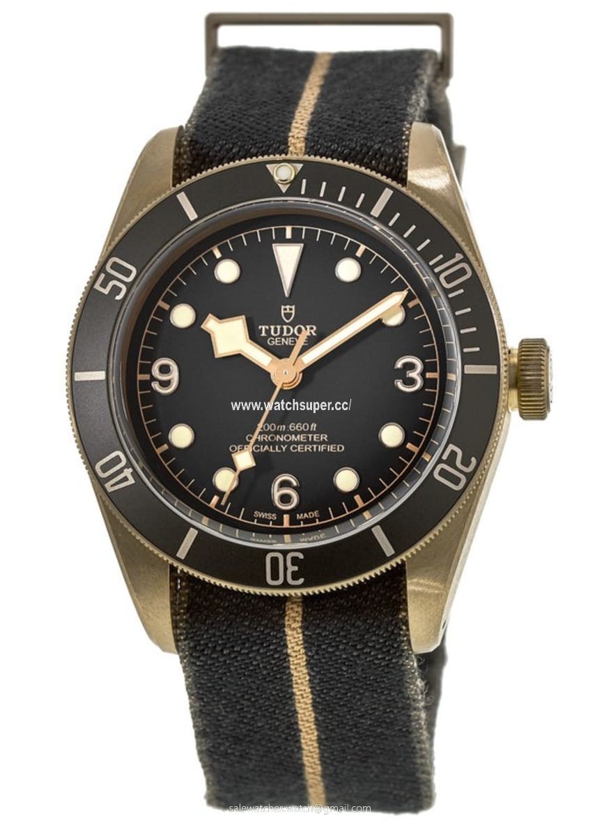 Tudor Black Bay Bronze M79250BA-0002 Bronze 1