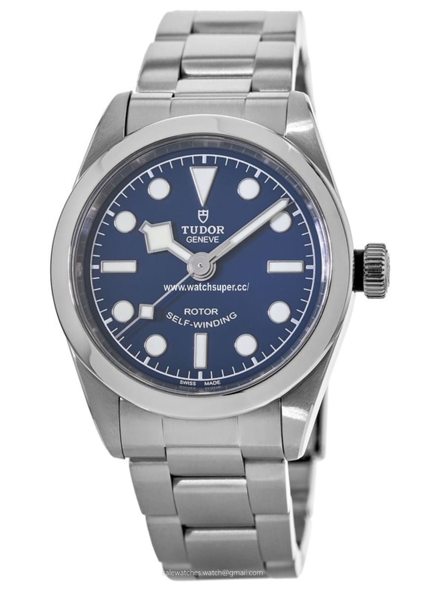 Tudor Black Bay 32 M79580-0003 Stainless Steel 1
