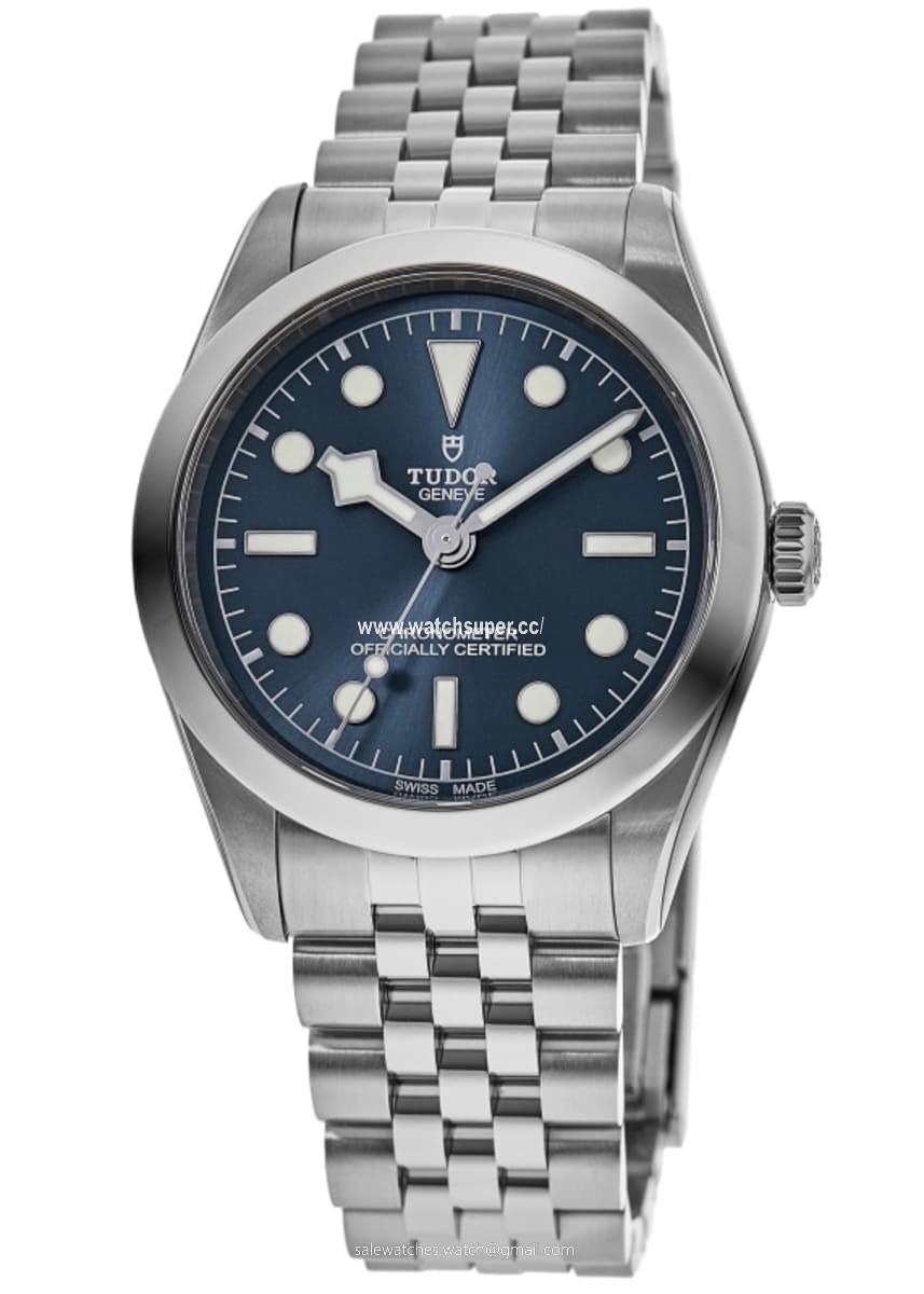Tudor Black Bay 36 M79640-0002 Stainless Steel 1