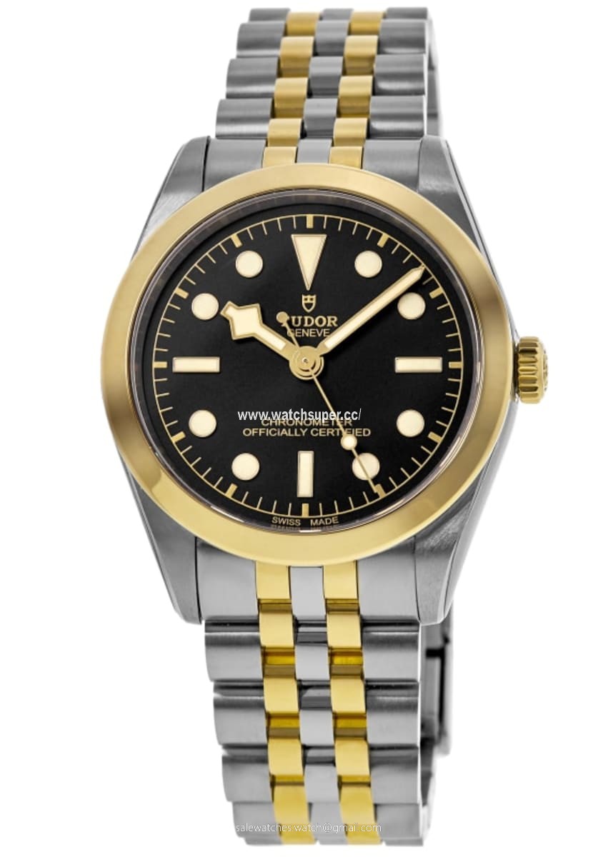 Tudor Black Bay 36 M79643-0001 Yellow Gold & Stainless Steel 1