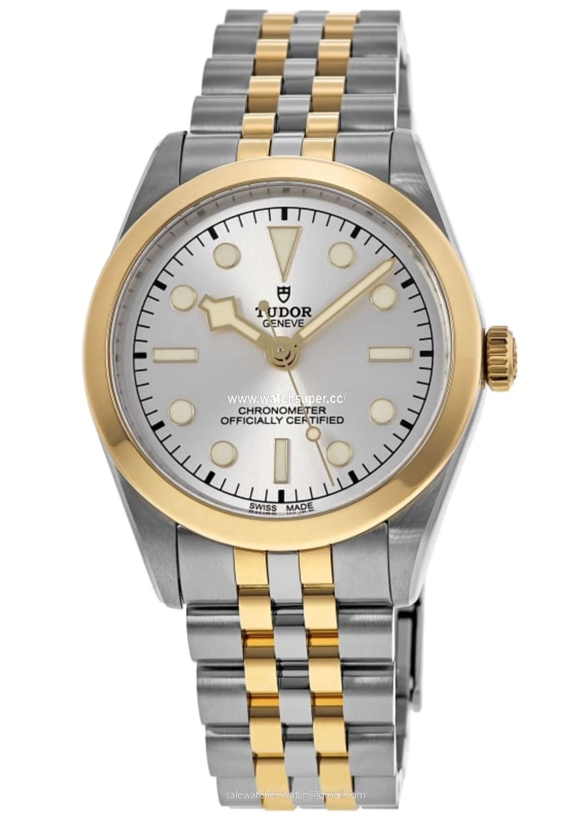 Tudor Black Bay 36 M79643-0002 Stainless Steel 1