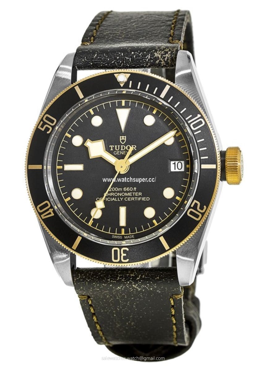 Tudor Black Bay 41 M79733N-0001 Stainless Steel 1