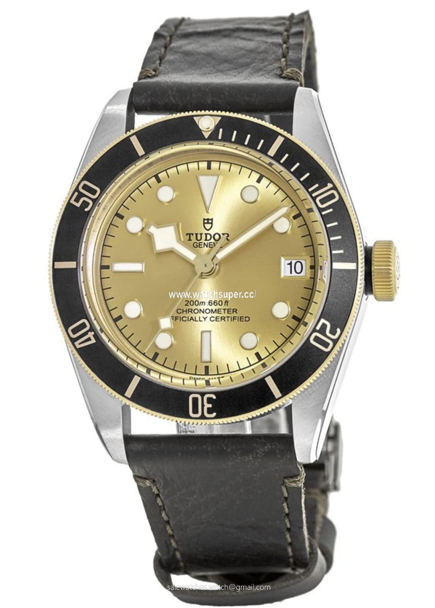 Tudor Black Bay 41 M79733N-0003 Stainless Steel 1