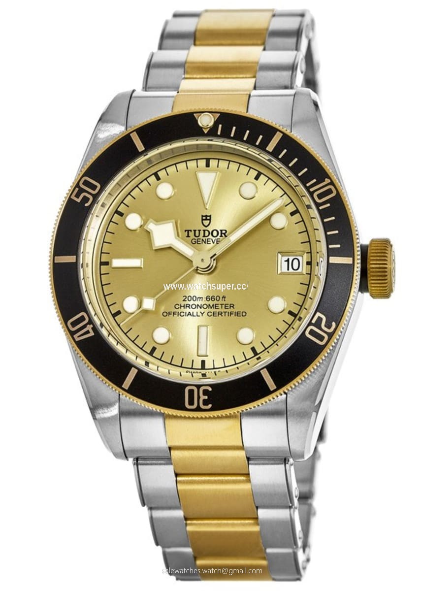 Tudor Black Bay 41 M79733N-0004 Stainless Steel 1
