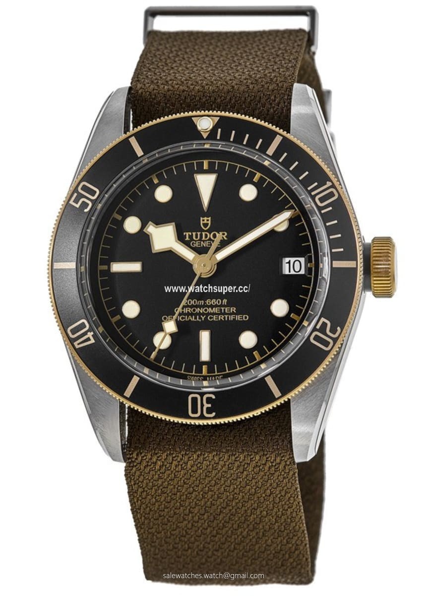 Tudor Black Bay 41 M79733N-0005 Stainless Steel 1