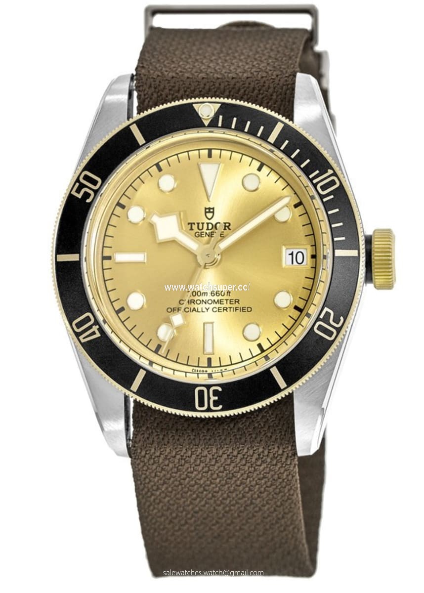 Tudor Black Bay 41 M79733N-0006 Stainless Steel 1