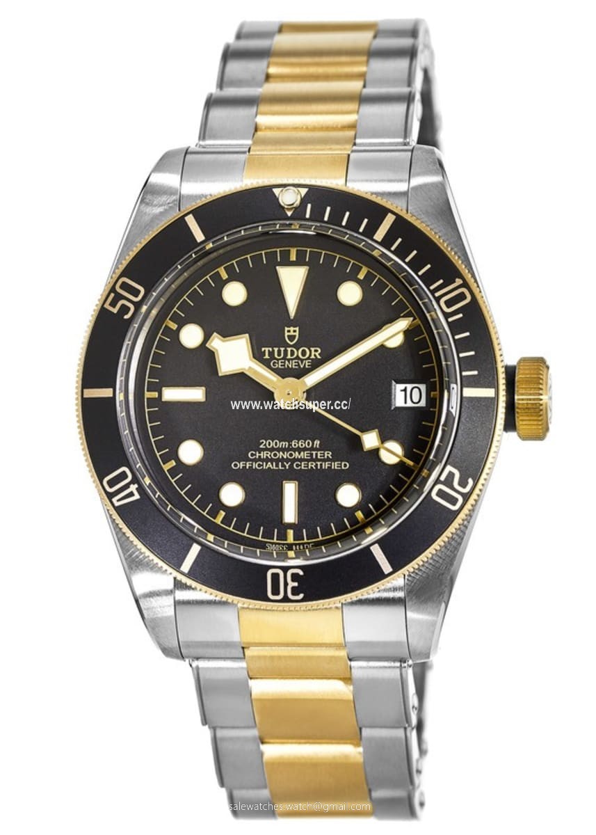 Tudor Black Bay 41 M79733N-0008 Stainless Steel 1
