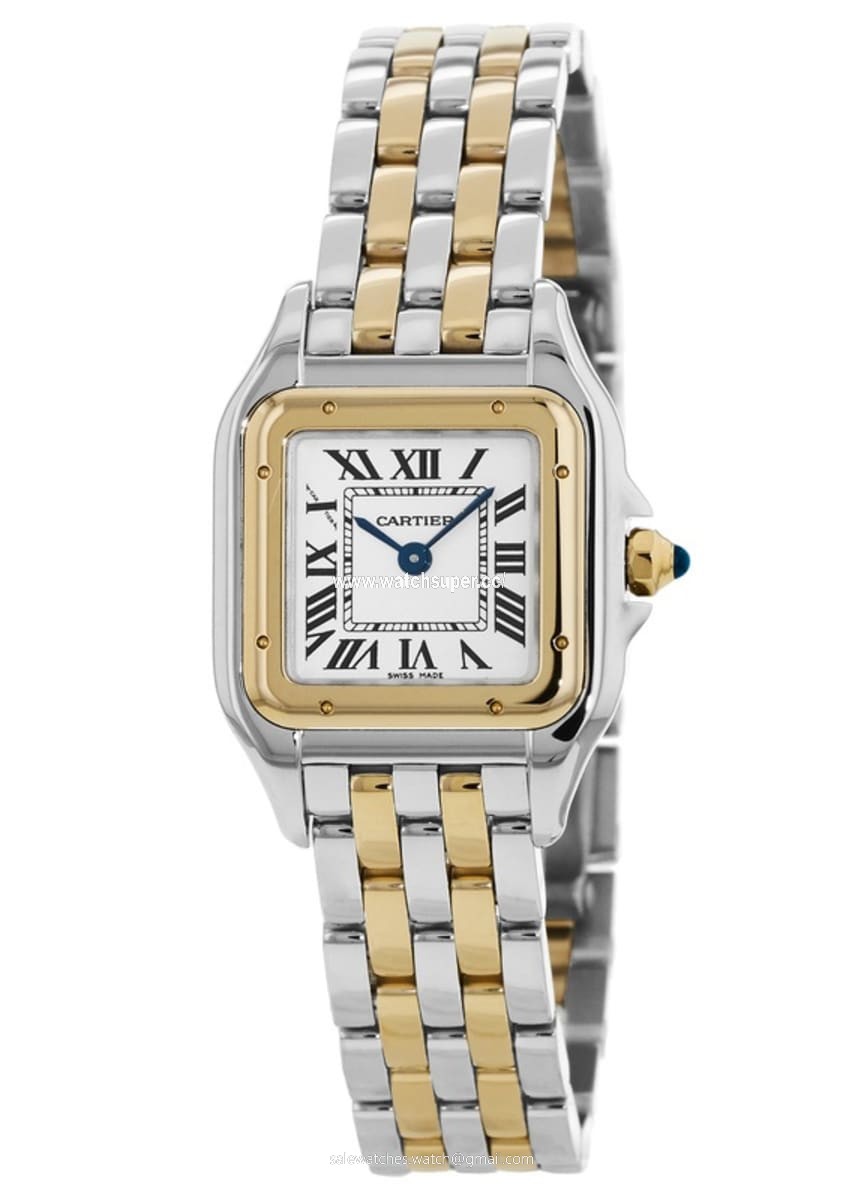 Cartier Panthere de Cartier Small W2PN0006 Yellow Gold & Stainless Steel 1