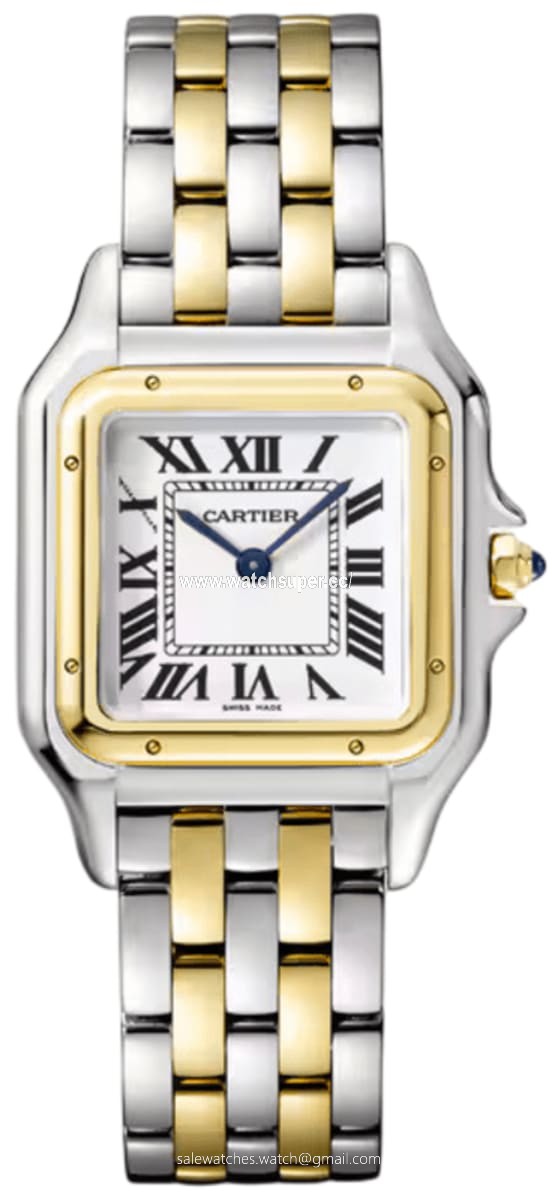 Cartier Panthere de Cartier Medium W2PN0019 Yellow Gold & Stainless Steel 1