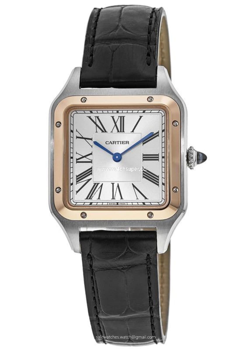 Cartier Santos Dumont W2SA0011 Stainless Steel 1