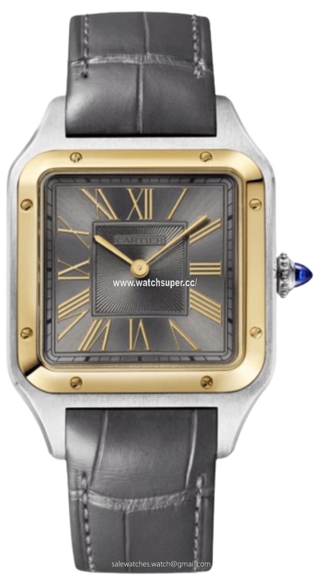Cartier Santos Dumont W2SA0028 Yellow Gold & Stainless Steel 1