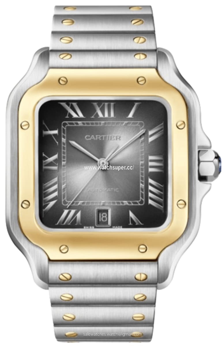 Cartier Santos De Cartier W2SA0030 Yellow Gold & Stainless Steel 1