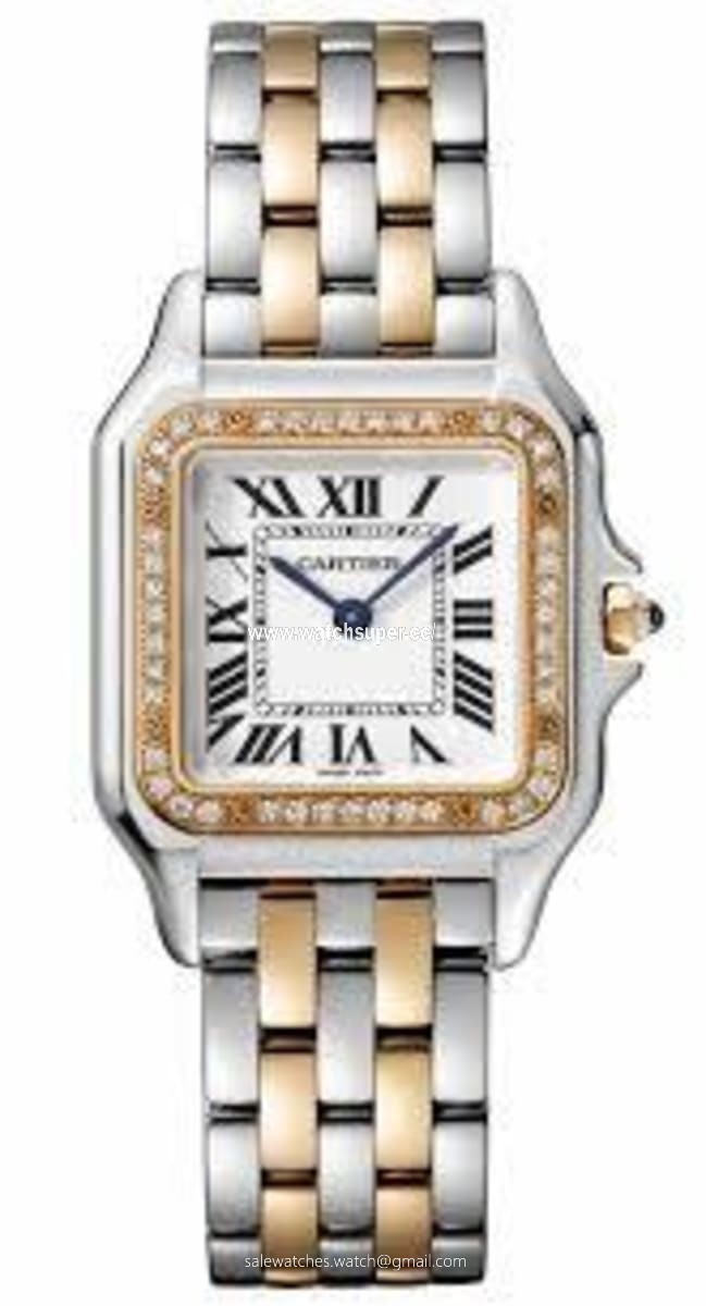 Cartier Panthere de Cartier W3PN0007 Rose Gold & Stainless Steel 1