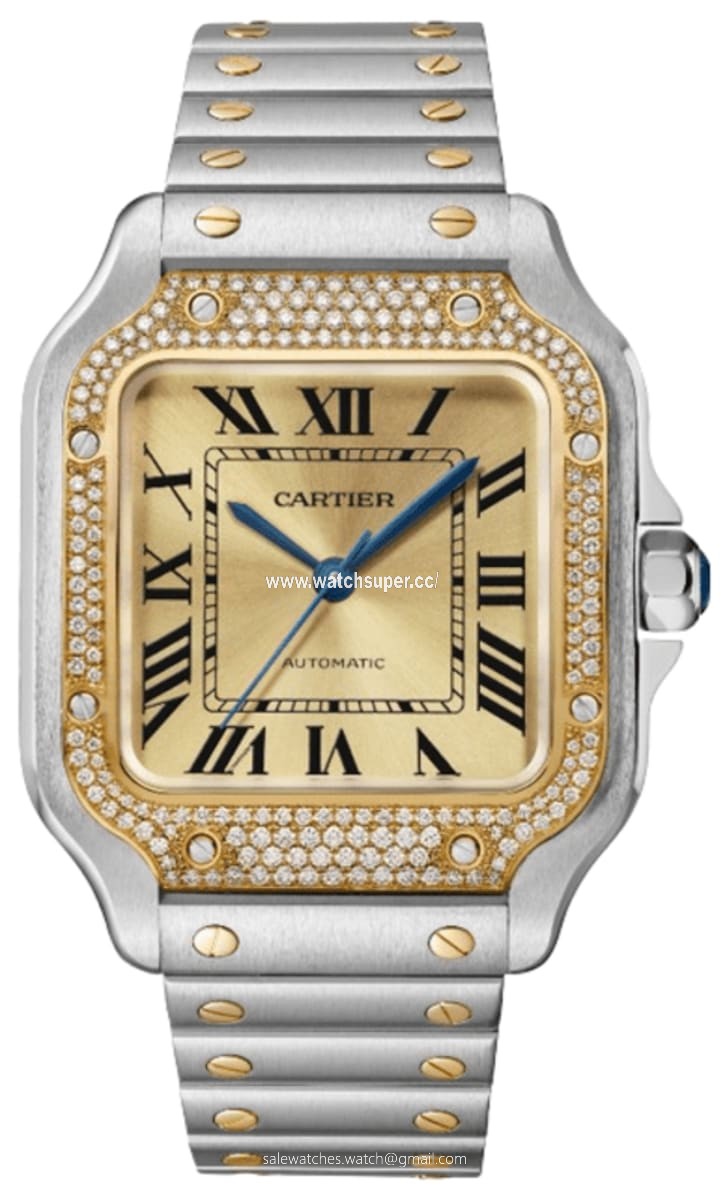 Cartier Santos De Cartier W3SA0007 Yellow Gold & Stainless Steel 1