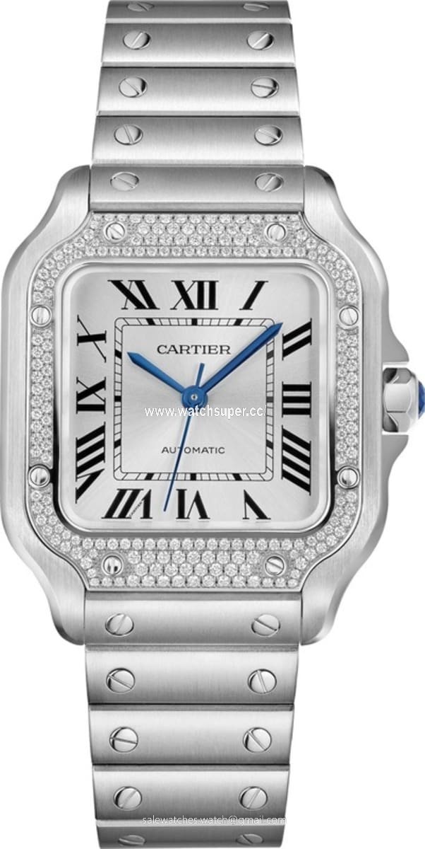 Cartier Santos De Cartier W4SA0005 Stainless Steel 1