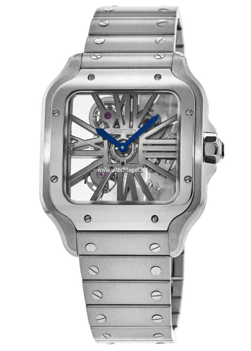 Cartier Santos De Cartier WHSA0015 Stainless Steel 1