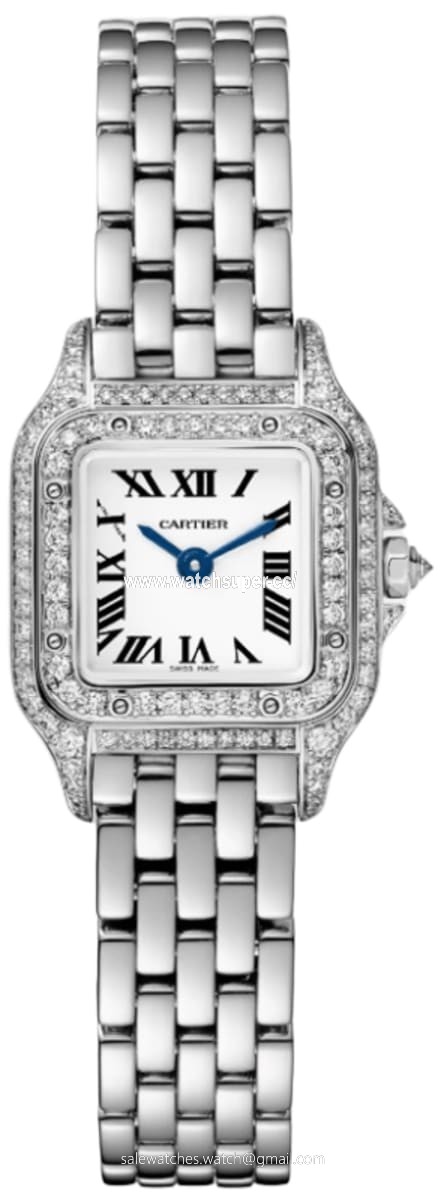 Cartier Panthere de Cartier WJPN0046 White Gold 1