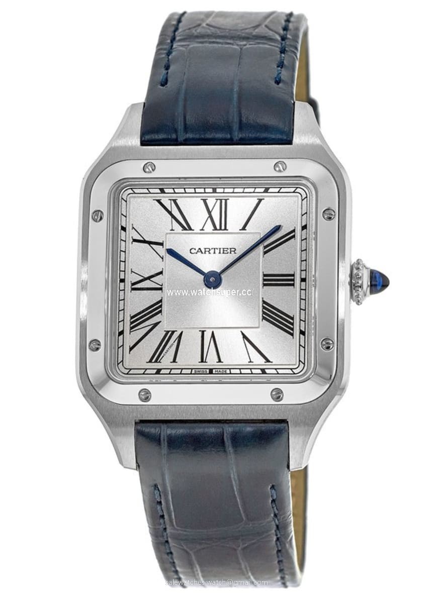 Cartier Santos Dumont WSSA0022 Stainless Steel 1