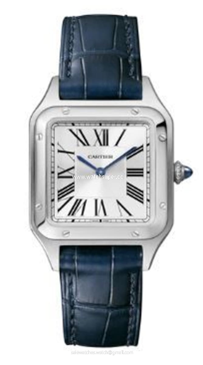 Cartier Santos Dumont WSSA0023 Stainless Steel 1