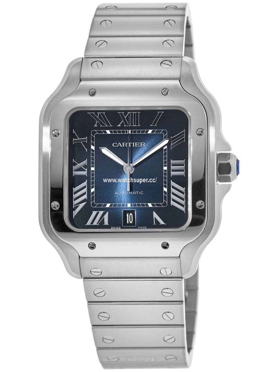 Cartier Santos De Cartier WSSA0030 Stainless Steel 1