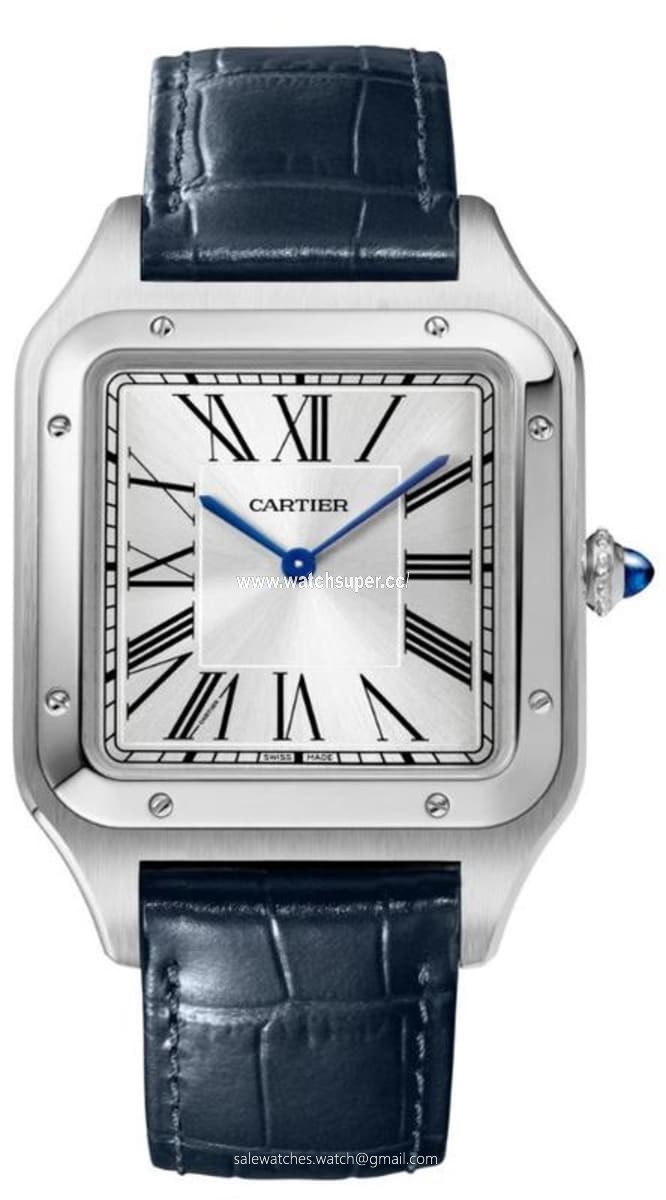 Cartier Santos Dumont WSSA0032 Stainless Steel 1