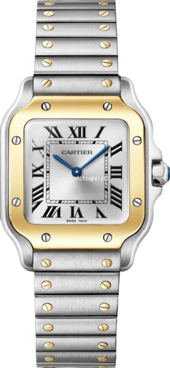 Cartier Santos De Cartier WSSA0033 Yellow Gold & Stainless Steel 1