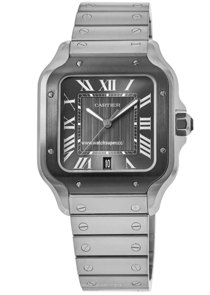 Cartier Santos De Cartier WSSA0037 Stainless Steel 1