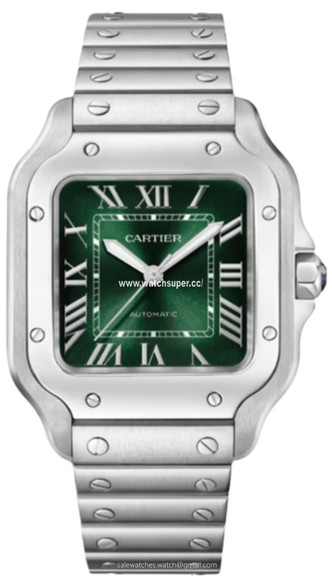 Cartier Santos De Cartier WSSA0061 Stainless Steel 1