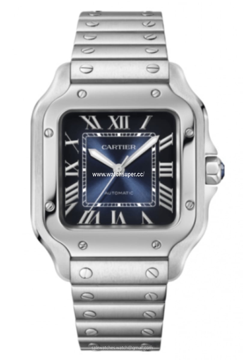 Cartier Santos De Cartier WSSA0063 Stainless Steel 1