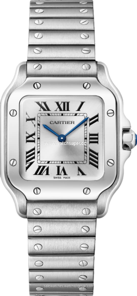 Cartier Santos De Cartier WSSA0082 Stainless Steel 1