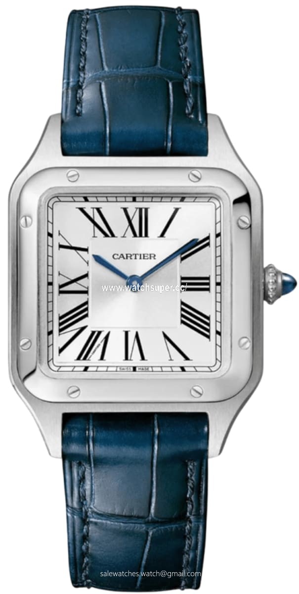 Cartier Santos Dumont WSSA0086 Stainless Steel 1