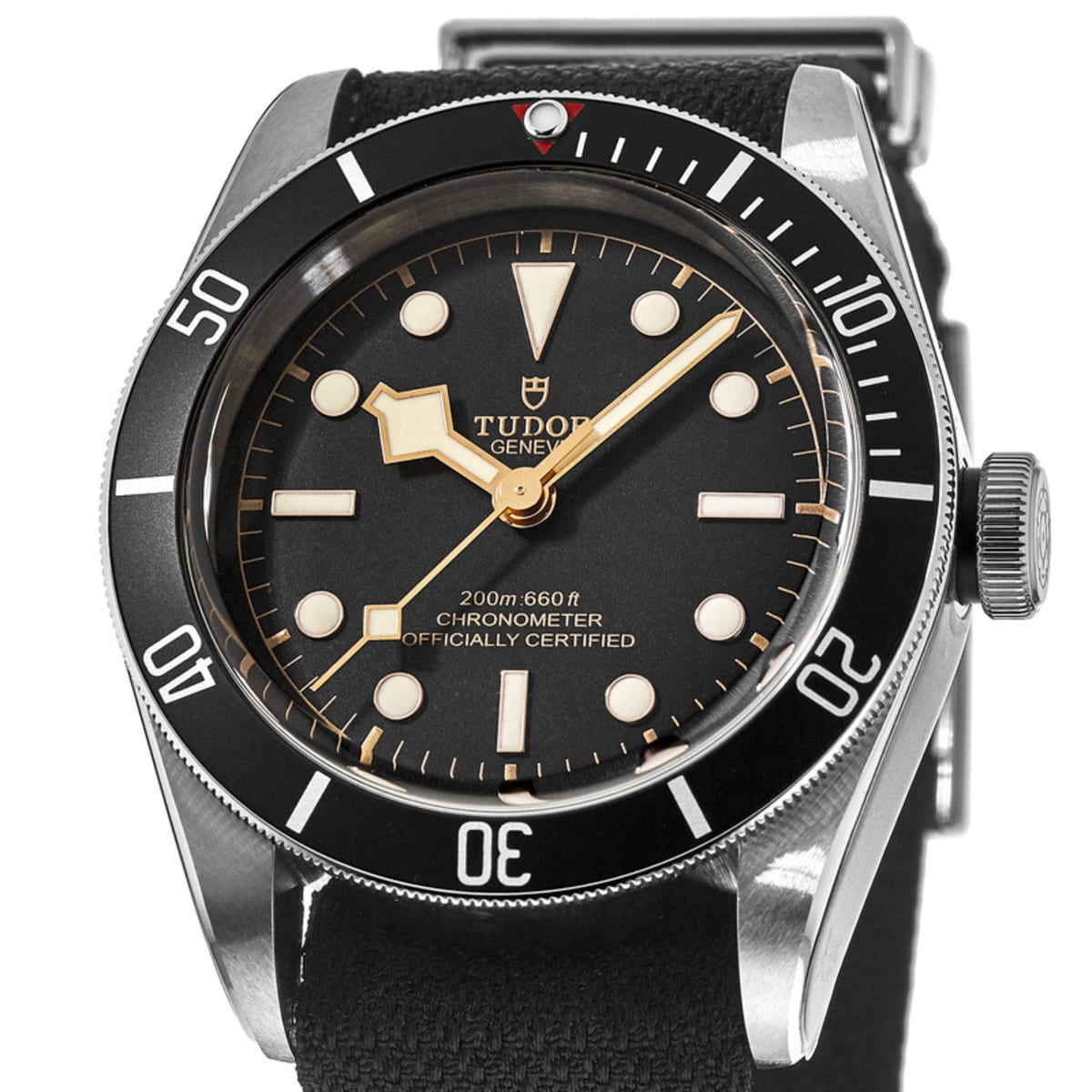 Tudor Black Bay 41 M79230N-0005 Stainless Steel 2