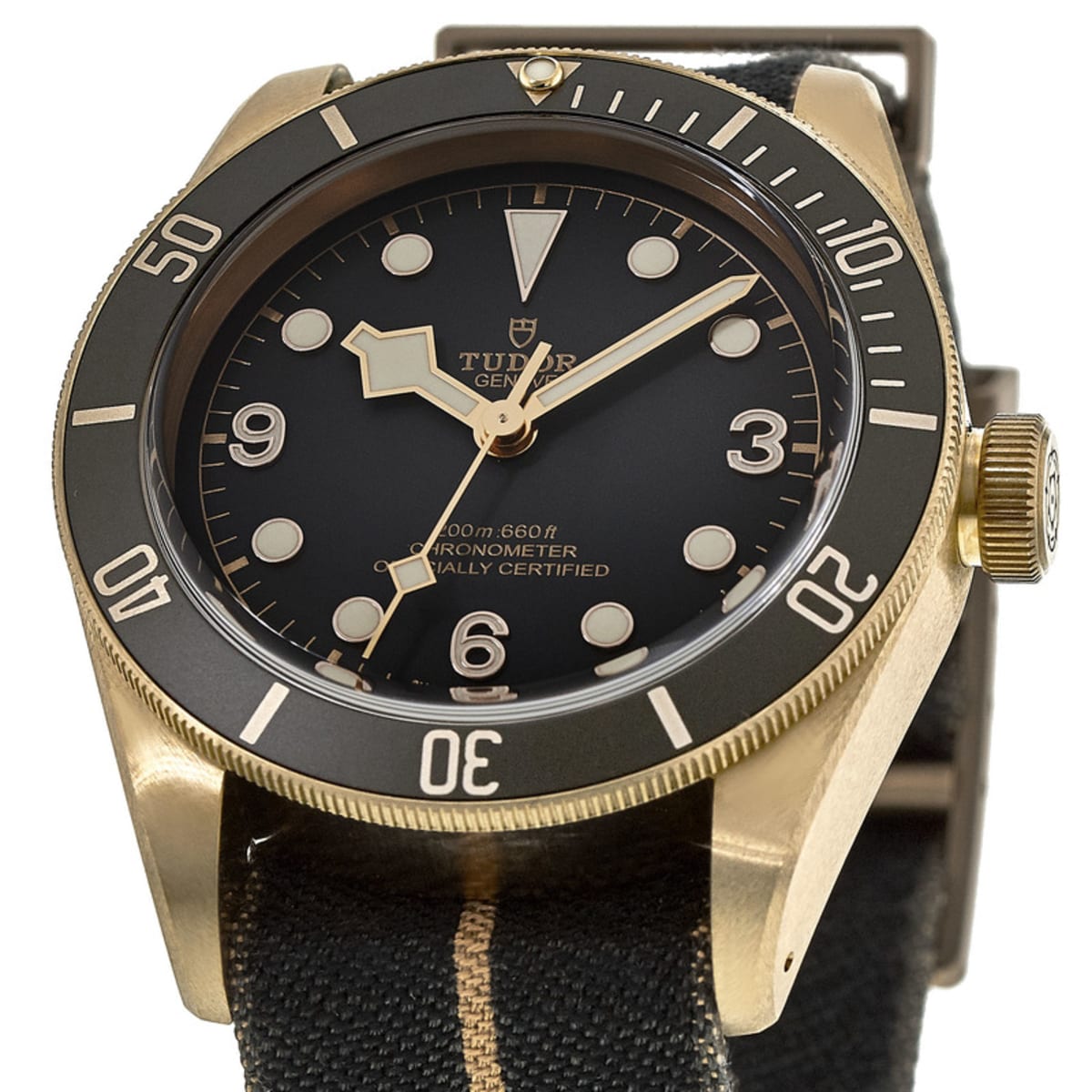 Tudor Black Bay Bronze M79250BA-0002 Bronze 2